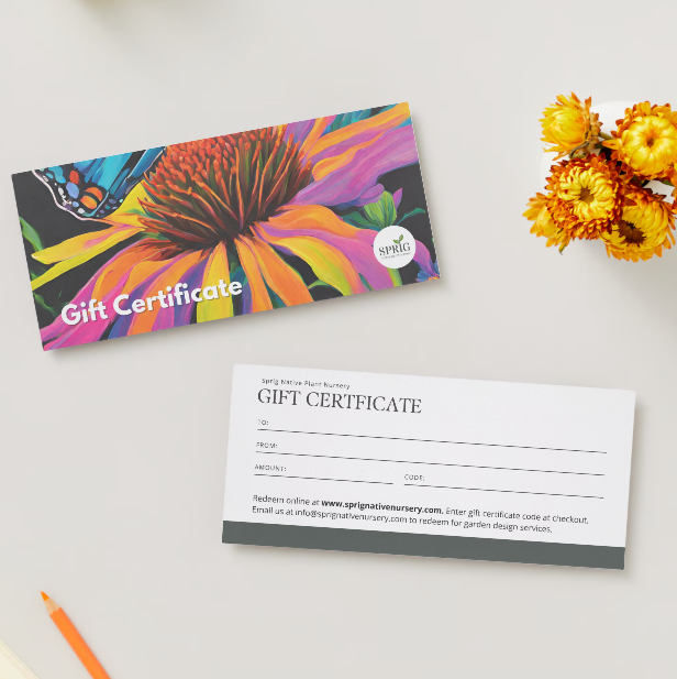 Physical Gift Certificate