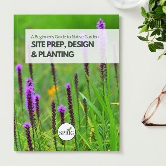 Native Garden Site Prep, Design and Planting