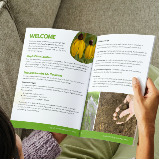 Native Garden Site Prep, Design and Planting