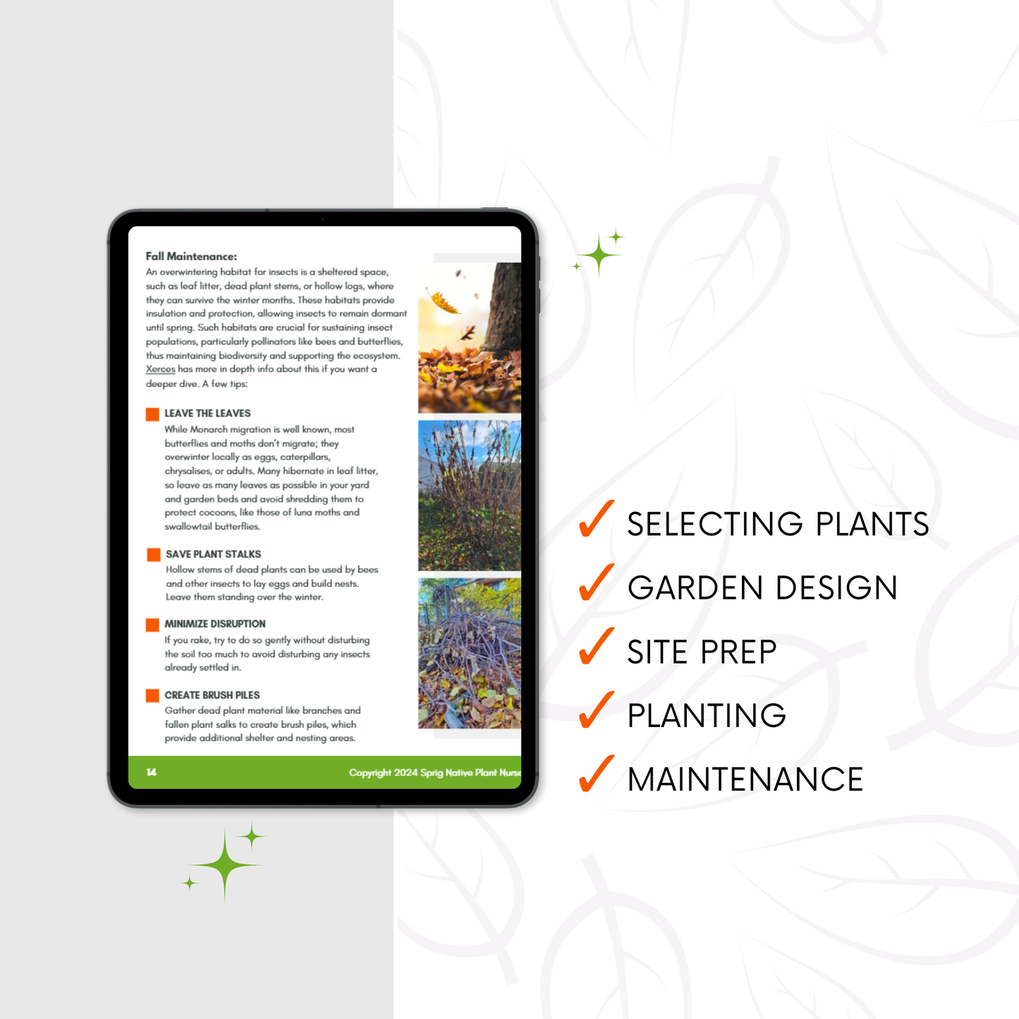 Native Garden Site Prep, Design and Planting