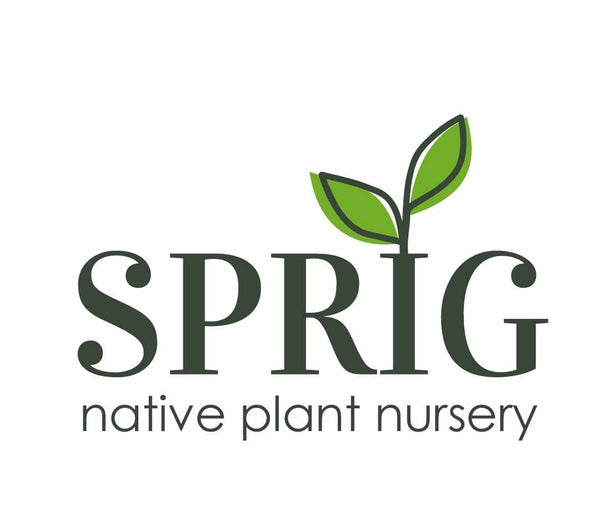 Sprig Native Plant Nursery