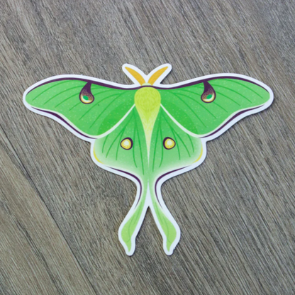 Vinyl Stickers by Blue Aster Studio